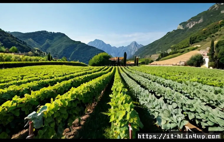 Condimenti tradizionali fatti in casa: come usare la creatività senza perdere sicurezza e sapore 4 전통 장류 자가 제조와 창의성 관련 이미지 2
